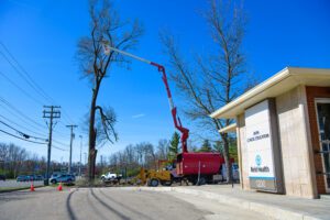 tree removal from a commercial property using a large bucket truck