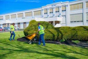 a landscaping employee mulching a bed for maintenance