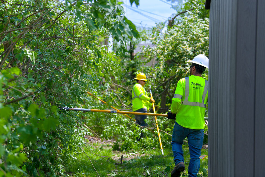 two tree trimmers removing brush from a tree care project