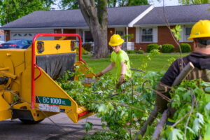 tree trimming employees using a chipper to mulch