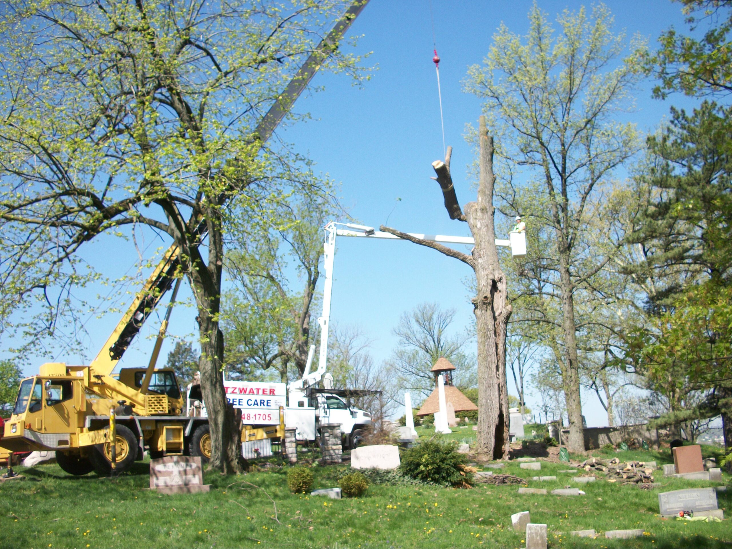 A Fitzwater Outdoor Maintenance bucket truck and crane managing a large tree removal.