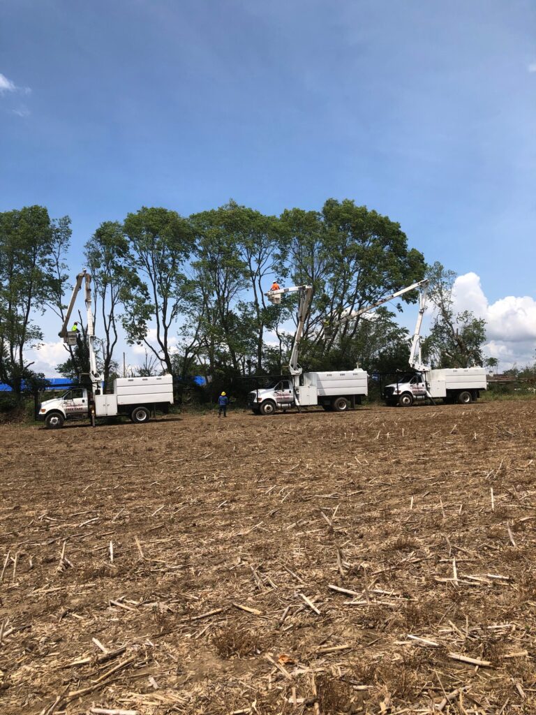 fleet of bucket trucks and tree care vehicles doing vegetation management in a field